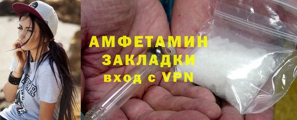 гидра Каменногорск