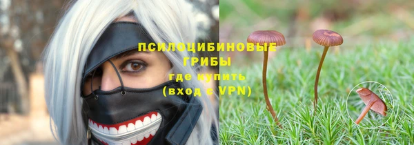 альфа пвп Каменка