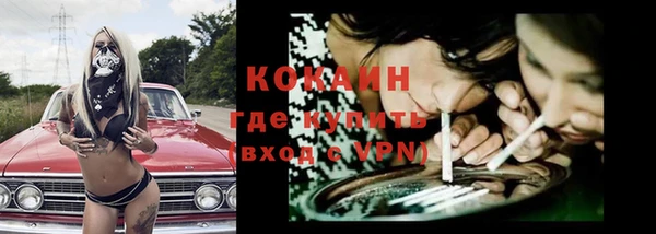 гидра Каменногорск