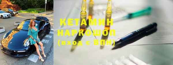 гидра Каменногорск