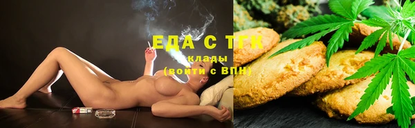 гидра Каменногорск