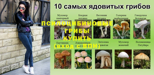 альфа пвп Каменка