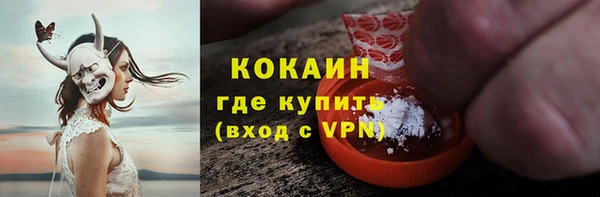гидра Каменногорск
