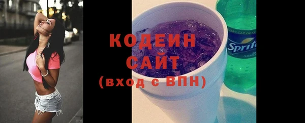 гидра Каменногорск