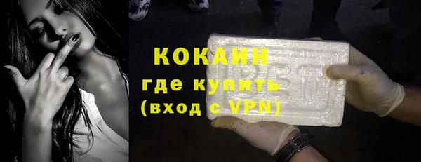 гидра Каменногорск