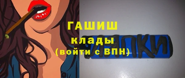 гидра Каменногорск
