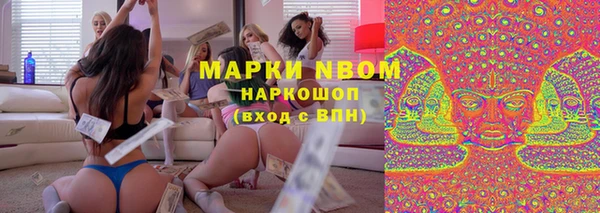 гидра Каменногорск