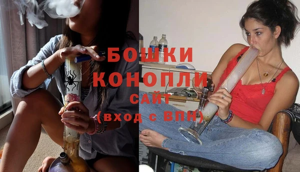 гидра Каменногорск