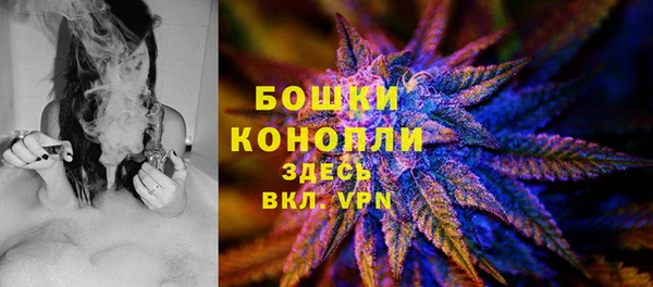 гидра Каменногорск