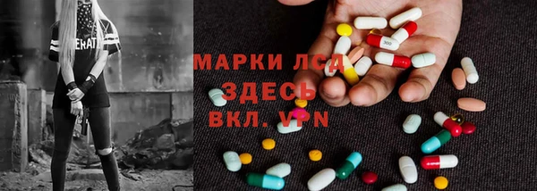 гидра Каменногорск