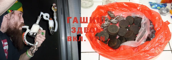 гидра Каменногорск